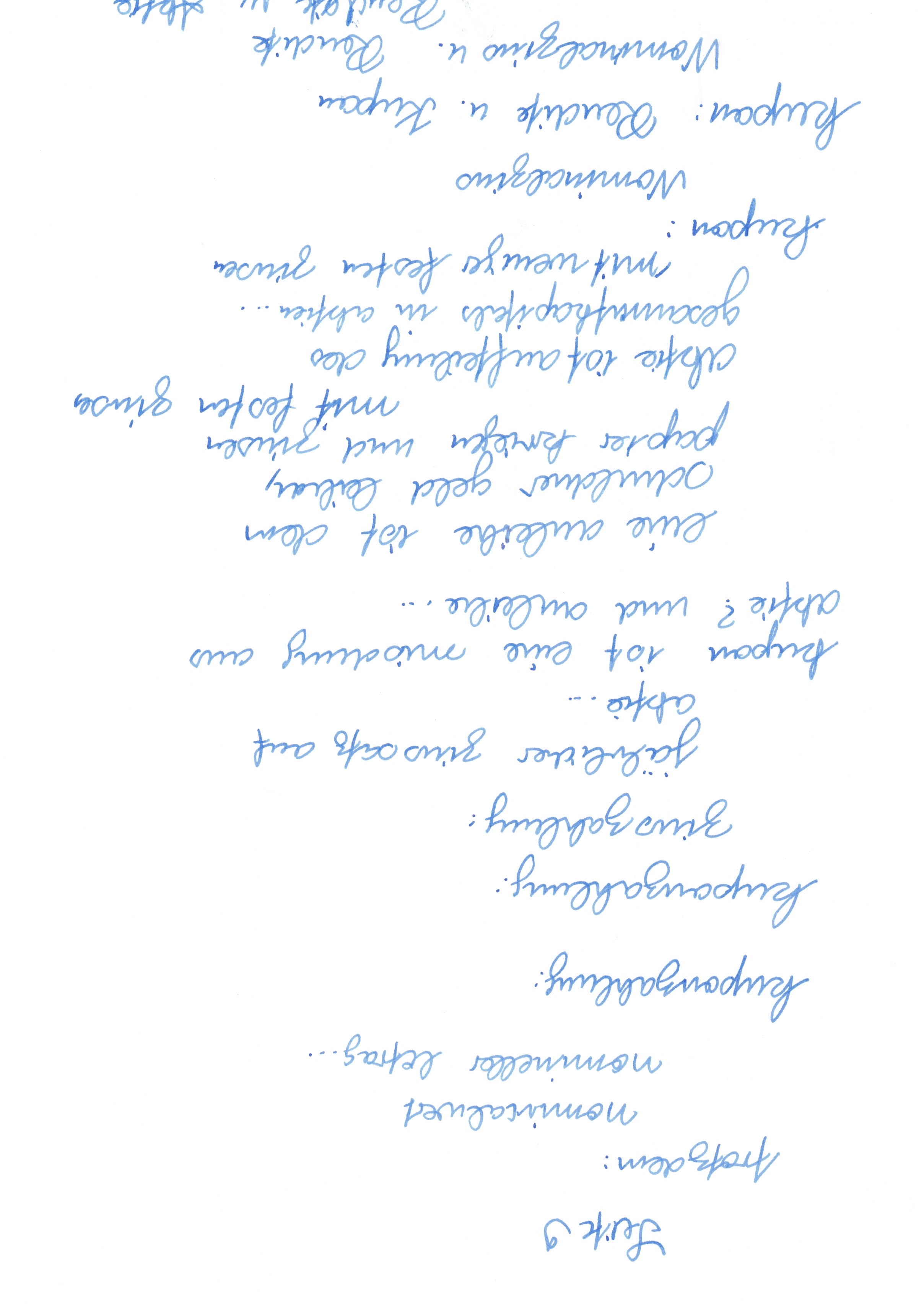 Image 202511301937_147