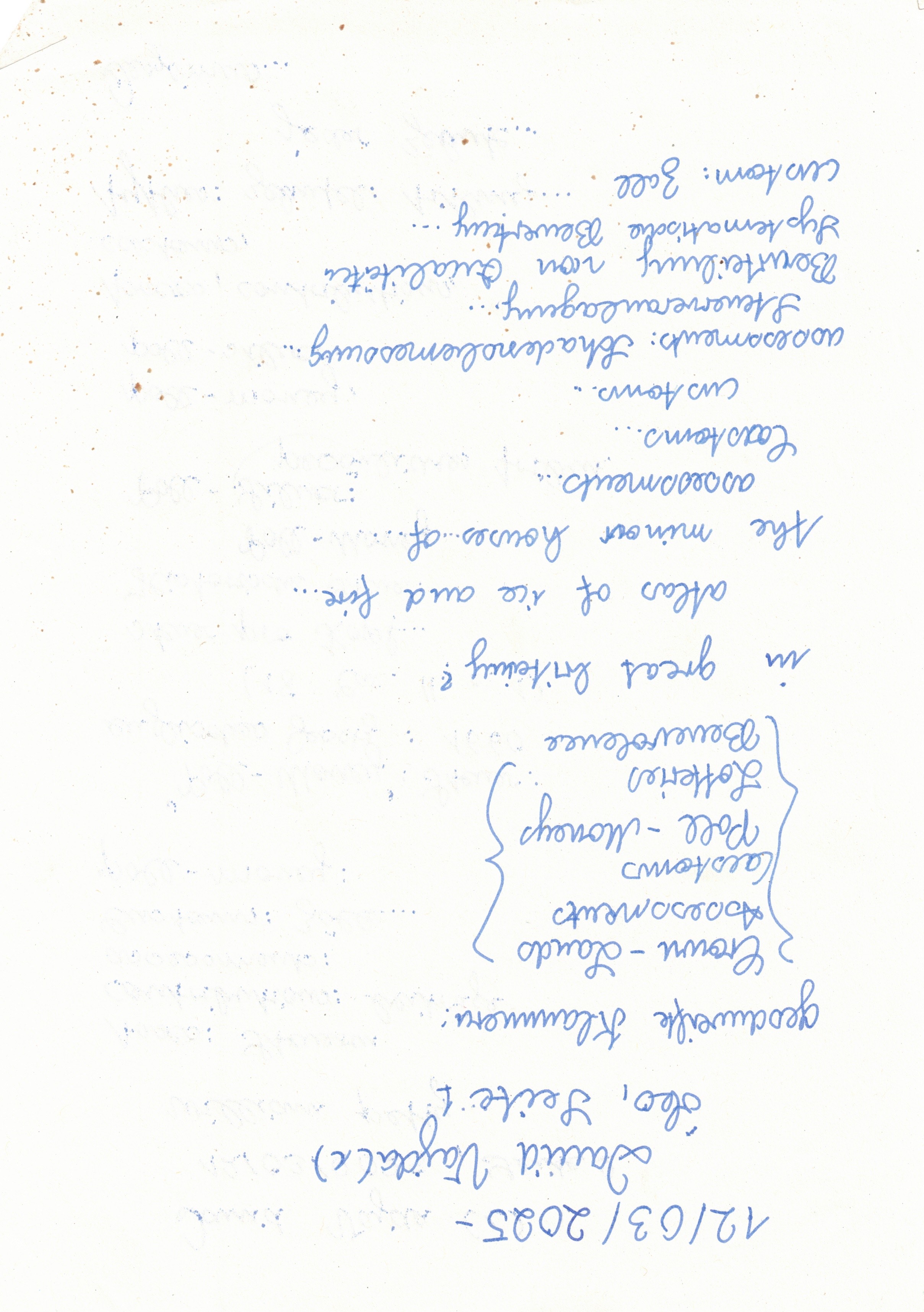 Image 202512112045_19